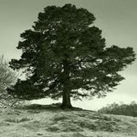 Elizabeth Dore Photo 21