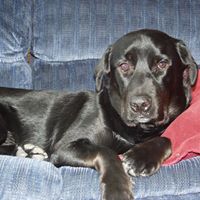 Riley Rodgers Photo 3