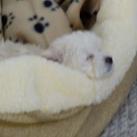 Marilyn Krause Photo 8