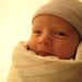 Elizabeth Mackey Photo 12