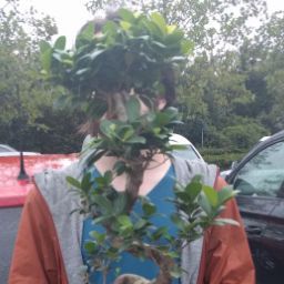 Daniel Evans Photo 68