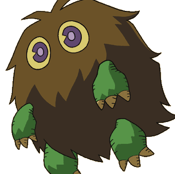 Steve Friday Photo 16