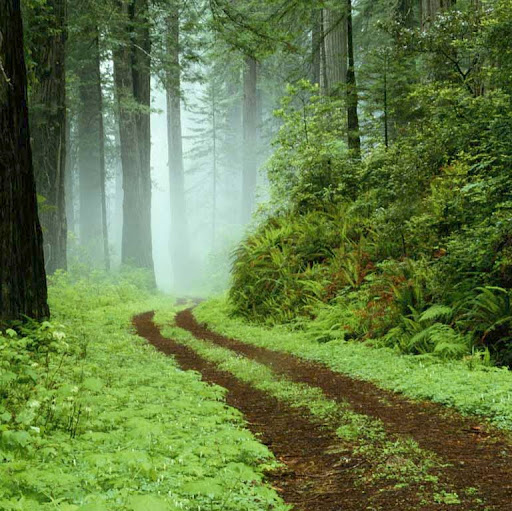 Thomas Kearns Photo 52