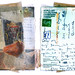 Joan Katz Photo 14