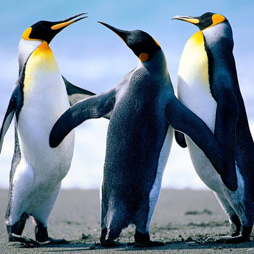 Edward Bennett Photo 29 Edward Bennett Photo 29