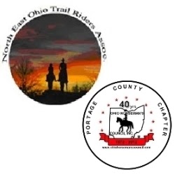 Stephanie Hawthorne Photo 18