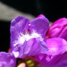 Lyle Hardy Photo 10