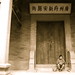 Xin Cheng Photo 16