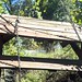 Arlen Woods Photo 15