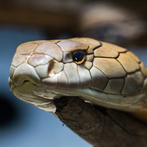 Gary Weaver Photo 28 Gary Weaver Photo 28