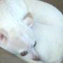 Gail Newcomb Photo 8
