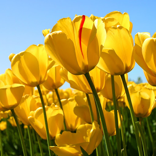 Lori Russell Photo 25