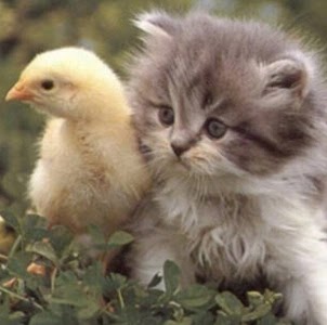 Aurelia Gonzalez Photo 5