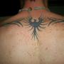 Scott Thacker Photo 43