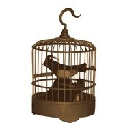 Bird Cage Photo 7