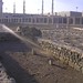 Muhammad Malik Photo 47