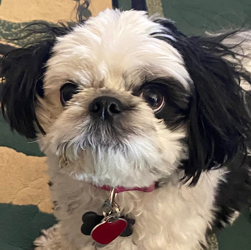 Ruth Marrero Photo 5