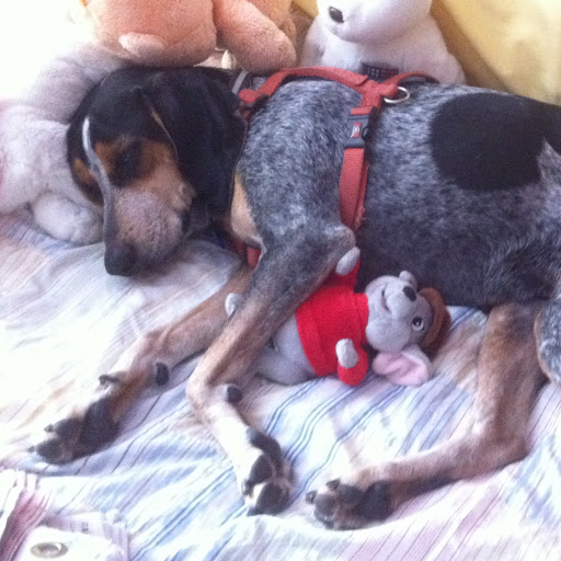 Amy Mcmahon Photo 15