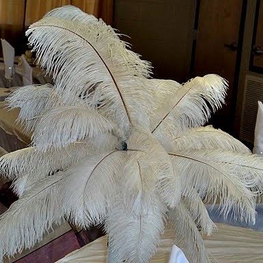 Joyce Mason Photo 33 Joyce Mason Photo 33