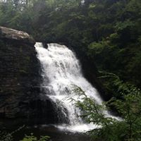 Kenneth Sheets Photo 22