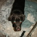 Leo Stratton Photo 8