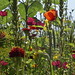 Anne Rood Photo 11