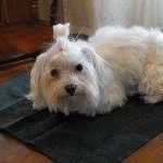 Marian Devine Photo 5