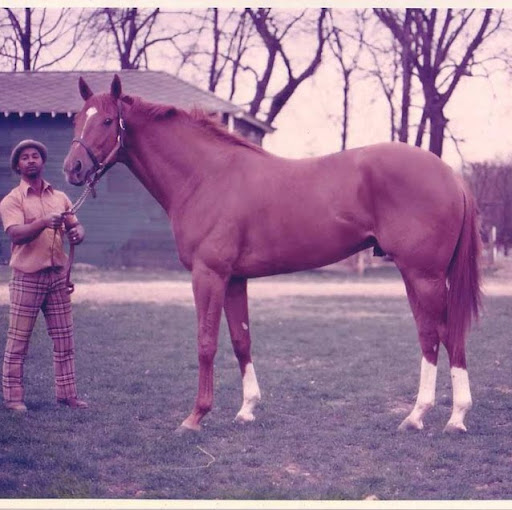 Kenny Mcmullan Photo 7