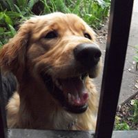 Jill Hoffman Photo 9 Jill Hoffman Photo 9