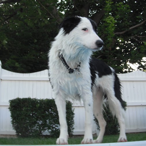 Stacey Fitzgerald Photo 32