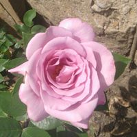 Amy Bennett Photo 41