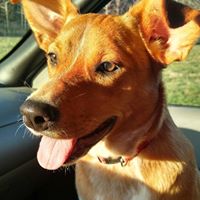 Cindy Neeley Photo 13