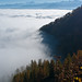 Ray Wallis Photo 24
