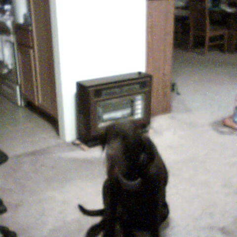 Christine Norman Photo 16