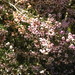 Erica Gates Photo 29