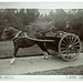 Thomas Wilkins Photo 22