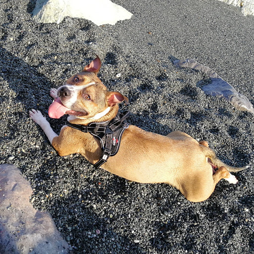 Gerard Moran Photo 23