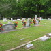 Debra Cobb Photo 18