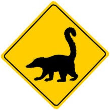 Michael Rademacher Photo 33 Michael Rademacher Photo 33