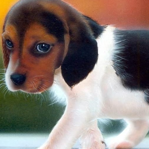 Vickie Bell Photo 40