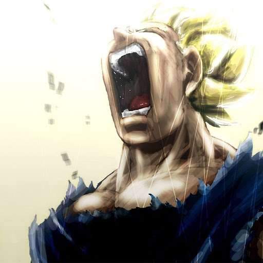 David Quintal Photo 9