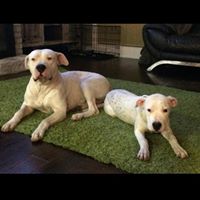 Aaron Valentin Photo 14