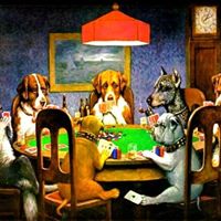 Marty Meyer Photo 15