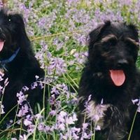 Trudi Martin Photo 9