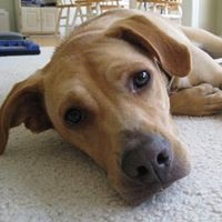 Susan Hamman Photo 25