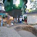 Willis Belton Photo 6