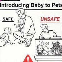 Andrew Rutter Photo 6