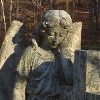 Cynthia Mcneely Photo 3