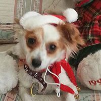 Angela Guerrero Photo 40