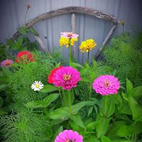 Stacey Ashley Photo 13